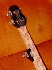 side view of the neck
